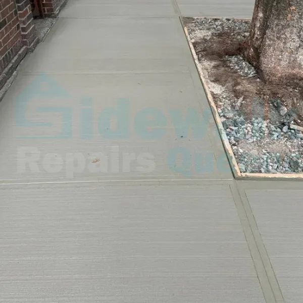 tree-sidewalk-installation