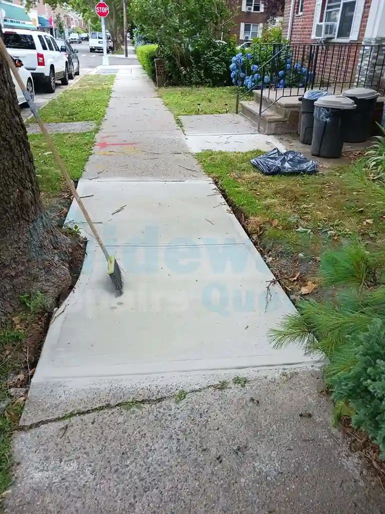 What to Do About a Sidewalk Damaged by Tree Roots? - Sidewalk Repairs Queens